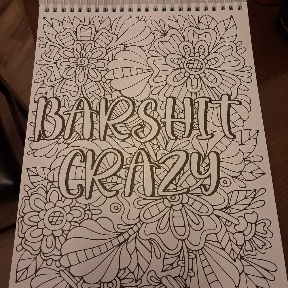 Profanity Coloring Book - Picture 3 of 3
